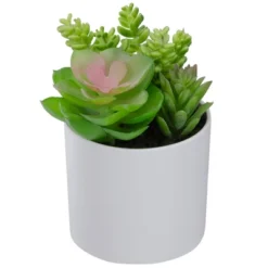 Northlight 5.5” Mixed Artificial Succulent Arrangement In A White Pot -Northlight GUEST b0b4160a 5f01 4bcf ad0b d790f41576c6