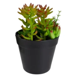 Northlight 8" Mixed Succulent Artificial Plant Arrangement In Pot - Green/Red -Northlight GUEST b1b550ad ba29 4764 8448 caf7bfb8aef9