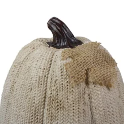 Northlight 6.25" White Pumpkin Autumn Harvest Thanksgiving Tabletop Decoration -Northlight GUEST b371f364 a091 4f33 8c31 f4a08038de15