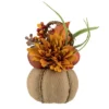 Northlight 9" Mixed Autumn Harvest Flora In A Pumpkin Basket Decoration -Northlight GUEST b4f1fa6e 0e22 46a3 b9f8 e89fc404f3e2