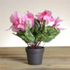 Northlight 12" Pink Potted Cyclamen Spring Artificial Floral Arrangement -Northlight GUEST b61ec9a9 8413 4745 b320 c51f53c920c9