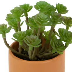 Northlight 5.5" Mini Artificial Succulent In Face Planter Pot 8 Northlight 5.5" Mini Artificial Succulent In Face Planter Pot -Northlight GUEST b721889f 7a13 497a 9924 385f17ba5d17