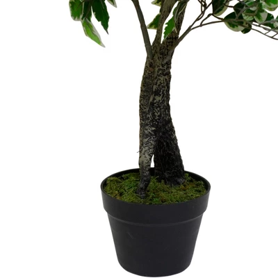 Northlight 47" Artificial Variegated Green And Ivory Leaf Ficus Potted Plant 5 Northlight 47" Artificial Variegated Green And Ivory Leaf Ficus Potted Plant - Image 3