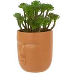 Northlight 5.5" Mini Artificial Succulent In Face Planter Pot 10 Northlight 5.5" Mini Artificial Succulent In Face Planter Pot -Northlight GUEST bb4aa3e4 9db6 4432 b405 eff5c564a597