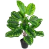 Northlight 30" Two-Tone Green Calathea Artificial Potted Plant 2 Northlight 30" Two-Tone Green Calathea Artificial Potted Plant -Northlight GUEST bb966f8a c00f 453e 9707 eda8372cbe0e