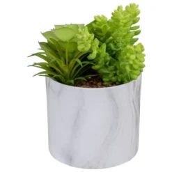 Northlight 6.5" Green Artificial Succulent Arrangement In Faux Marble Pot 7 Northlight 6.5" Green Artificial Succulent Arrangement In Faux Marble Pot -Northlight GUEST bba61d68 078b 4316 926c 0f59b97e4514