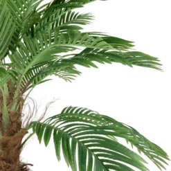 Northlight 8' Unlit Artificial Potted Phoenix Palm Tree 11 Northlight 8' Unlit Artificial Potted Phoenix Palm Tree -Northlight GUEST bc53db25 7c46 42c5 a710 807100acdacf