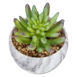 Northlight 4.25" Green Artificial Succulent In Faux Marble Pot -Northlight GUEST bce899f7 c336 413e 938d e777b4167c52