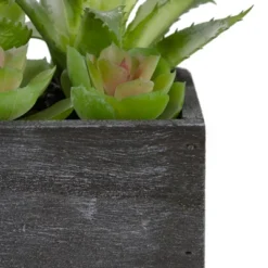 Northlight 10" Artificial Mixed Succulent Plants In A Rectangular Planter -Northlight GUEST be6fa5e7 6760 48ab a8b5 3879443f26af
