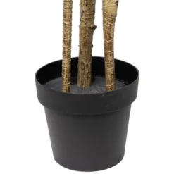 Northlight 5.5' Green Artificial Dracaena Marginata Plant In Black Pot 9 Northlight 5.5' Green Artificial Dracaena Marginata Plant In Black Pot -Northlight GUEST c34bc6b8 189e 46e8 93ad 6f1d10b791b4
