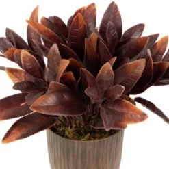 Northlight 8" Two-Tone Artificial Foliage Plant In A Textured Lined Pot 9 Northlight 8" Two-Tone Artificial Foliage Plant In A Textured Lined Pot -Northlight GUEST c4b27a11 9ca3 4bc3 a206 0786d0d1c49e