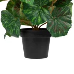 Northlight 11" Coral Pink Potted Silk Begonia Spring Artificial Floral Arrangement 9 Northlight 11" Coral Pink Potted Silk Begonia Spring Artificial Floral Arrangement -Northlight GUEST c59325ba 5938 444a a6ca 4531ad3d7d3e