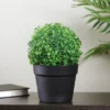 Northlight 12" Potted Artificial Boxwood Spring Plant -Northlight GUEST c9c8c13a a64a 411b 8cb4 ca323fbbc777