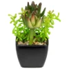 Northlight 6" Potted Green Artificial Succulent Arrangement -Northlight GUEST cb480b8b c9a3 4db9 a073 da50b3b4552a