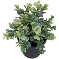 Northlight 10" Green Artificial Melia Azedarach Plant In Black Pot -Northlight GUEST cbee1d85 b563 4695 bf0c ca8d74ab2a94