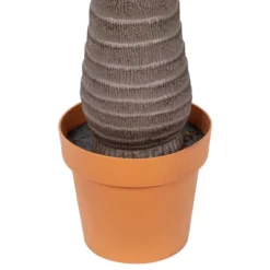 Northlight 8' Unlit Artificial Potted Phoenix Palm Tree 13 Northlight 8' Unlit Artificial Potted Phoenix Palm Tree -Northlight GUEST cef16ac3 1a52 4e49 870b 69dca63ebd5c