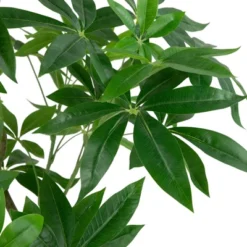 Northlight 4' Artificial Unbraided Potted Green Money Tree -Northlight GUEST cfc0548d 910d 4ed3 9148 3b5c5c01ab33