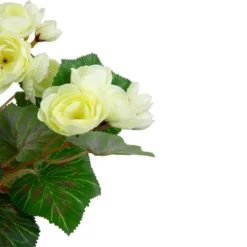 Northlight 11" Cream Potted Silk Begonia Spring Artificial Floral Arrangement -Northlight GUEST d1005576 56d8 4ae0 b2cb f58f2f7b439f