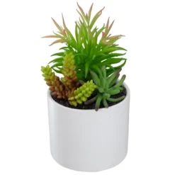 Northlight 9" Artificial Succulent Arrangement In White Ceramic Pot 8 Northlight 9" Artificial Succulent Arrangement In White Ceramic Pot -Northlight GUEST d1b25685 5f40 4d1b 88db 019e8fe0972a