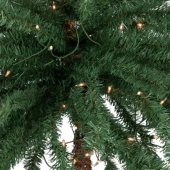 Northlight 6' Pre-Lit Artificial Tropical Outdoor Patio Palm Tree - Clear Lights 7 Northlight 6' Pre-Lit Artificial Tropical Outdoor Patio Palm Tree - Clear Lights -Northlight GUEST d225b03e 1fbf 4ee8 9712 329fd40b2f99