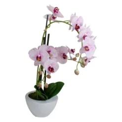 Northlight 21" Pink And White Artificial Orchid Plant In A White Pot -Northlight GUEST d4861a23 d951 4796 9276 6fbfd9014732