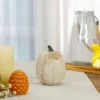 Northlight 6.25" White Pumpkin Autumn Harvest Thanksgiving Tabletop Decoration -Northlight GUEST da4bf3a0 4bd4 4fe5 b3e5 9a94fee9b476