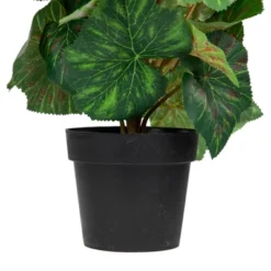 Northlight 11" Red Potted Silk Begonia Spring Artificial Floral Arrangement -Northlight GUEST dd746089 1921 4002 ab53 daaf1f165448