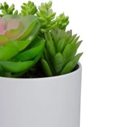 Northlight 5.5” Mixed Artificial Succulent Arrangement In A White Pot -Northlight GUEST e4544a23 a138 4189 a90b acfa21c1938a