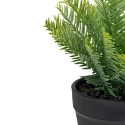 Northlight 7.5" Green Artificial Yew Plant In Black Pot 7 Northlight 7.5" Green Artificial Yew Plant In Black Pot -Northlight GUEST e5e388c1 1d26 4e1f 94d5 4db40c5f2748
