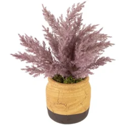 Northlight 12" Artificial Purple Cypress Plant In A Ceramic Pot -Northlight GUEST e6ff5a8b 104e 4dfa bc94 b109c1982d49