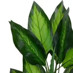 Northlight 51" Artificial Wide Leaf Green Dieffenbachia Potted Plant -Northlight GUEST eaca29fb 82c9 41f8 b9ca 4f989d06dcda