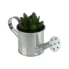 Northlight 4" X Pachyveria Succulent In Water Can Artificial Potted Plant - Green/Silver -Northlight GUEST ebf9396e 0dac 4107 9249 4ae896ca3a18