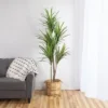 Northlight 5.5' Green Artificial Dracaena Marginata Plant In Black Pot -Northlight GUEST ec64f269 48a4 4a5f 9e2f 0f931aee7aa1