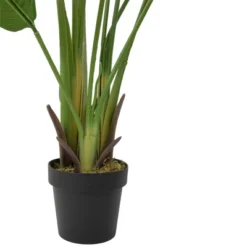 Northlight 70" Artificial Green Travellers Palm Tree -Northlight GUEST ecd2a799 a8eb 48b8 bbac f70bcc872e17