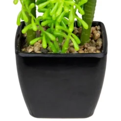 Northlight 6" Potted Green Artificial Succulent Arrangement -Northlight GUEST ef30f800 77f8 4321 8304 990ee01bb64a