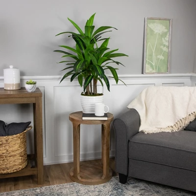 Northlight 36" Two-Tone Green Dracaena Artificial Potted Plant 3 Northlight 36" Two-Tone Green Dracaena Artificial Potted Plant