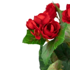 Northlight 11" Red Potted Silk Begonia Spring Artificial Floral Arrangement -Northlight GUEST f12d5d93 398b 477b ac3f b04d03607a1a