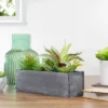 Northlight 12" Artificial Mixed Succulent Plants In A Rectangular Planter -Northlight GUEST f28e1d0e 36c7 4ef0 b83e 36f0cbce8489