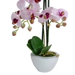 Northlight 21" Pink And White Artificial Orchid Plant In A White Pot -Northlight GUEST f39a255c 7539 486c 94e2 3bed2a0da8d2