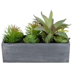 Northlight 12" Artificial Mixed Succulent Plants In A Rectangular Planter -Northlight GUEST f4109dc6 9bd7 4f6c 9371 241fa94e9b46
