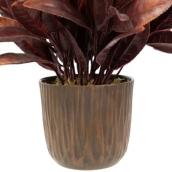 Northlight 8" Two-Tone Artificial Foliage Plant In A Textured Lined Pot 10 Northlight 8" Two-Tone Artificial Foliage Plant In A Textured Lined Pot -Northlight GUEST f446d5a9 a8f1 4e58 8704 f8b380dcbdf0
