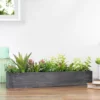 Northlight 23" Artificial Mixed Succulent Plants In A Rectangular Planter -Northlight GUEST f50c3a8e 6240 449f 809e dd3fc52875bf
