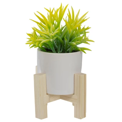 Northlight 8" Potted Green Artificial Succulent With Wooden Stand 4 Northlight 8" Potted Green Artificial Succulent With Wooden Stand - Image 2