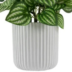 Northlight 6.5" Artificial Watermelon Peperomia Plant In White Pot -Northlight GUEST f6d3cd43 7815 4770 a5ae 8c792abc677f