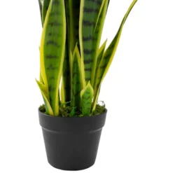 Northlight 29" Artificial Potted Green Striped Leaf Dracaena Snake Plant -Northlight GUEST f810954a ee9e 412d a8dd 79671314b273