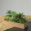 Northlight 11.5" Mixed Succulent Artificial Plants In Wooden Planter Box - Green/Brown -Northlight GUEST f8169e3c 84a5 4b08 8828 477d0eea8637