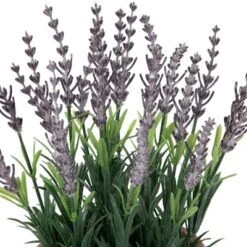 Northlight 10" Artificial Lavender And Leaves In Weathered Pot -Northlight GUEST f9b847f6 2b3d 4874 9647 fe35ba12d9b2