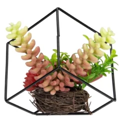 Northlight 5.5" Artificial Succulent Arrangement In Black Metal Wire Frame 9 Northlight 5.5" Artificial Succulent Arrangement In Black Metal Wire Frame -Northlight GUEST fa240385 37e0 4a19 bb6f 522d160b9dc2