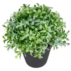 Northlight 7.5" Potted Green Artificial Boxwood Plant -Northlight GUEST fb0791ff d8ca 4a92 aaf5 0635d3c4edb1
