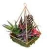 Northlight 9" Succulent Artificial Arrangement In Copper Wire Terrarium - Green/Brown -Northlight GUEST fb1ecb69 0bd9 4367 a6bf 7adb000f38f6